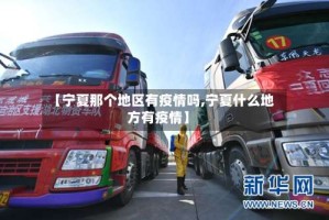 【宁夏那个地区有疫情吗,宁夏什么地方有疫情】