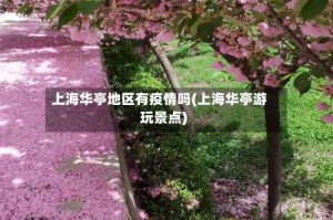 上海华亭地区有疫情吗(上海华亭游玩景点)