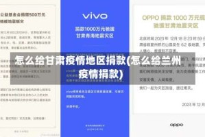 怎么给甘肃疫情地区捐款(怎么给兰州疫情捐款)