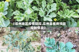 【瓜州地区疫情防控,瓜州县疾病预防控制情况】