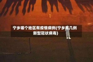 宁乡哪个地区有疫情病例(宁乡有几例新型冠状病毒)