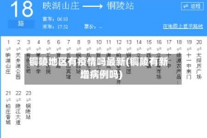 铜陵地区有疫情吗最新(铜陵有新增病例吗)