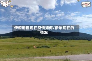 伊犁地区现在疫情如何/伊犁现在的情况