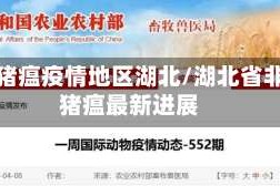 非洲猪瘟疫情地区湖北/湖北省非洲猪瘟最新进展