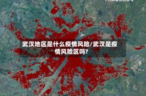 武汉地区是什么疫情风险/武汉是疫情风险区吗?