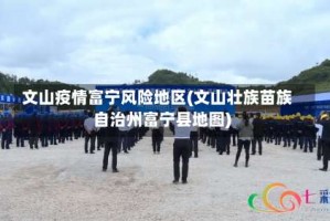 文山疫情富宁风险地区(文山壮族苗族自治州富宁县地图)