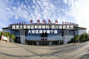 自贡大安地区有疫情吗/四川省自贡市大安区属于哪个县