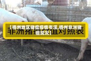 【梧州地区猪瘟疫情岑溪,梧州非洲猪瘟现况】