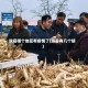 陕县哪个地区有疫情了(陕县有几个镇)
