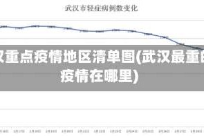 武汉重点疫情地区清单图(武汉最重的疫情在哪里)