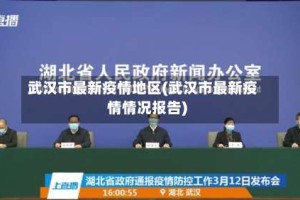 武汉市最新疫情地区(武汉市最新疫情情况报告)