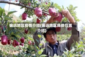 偏远地区疫情介绍(偏远地区具体位置介绍)