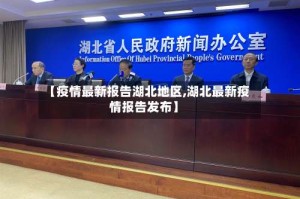 【疫情最新报告湖北地区,湖北最新疫情报告发布】