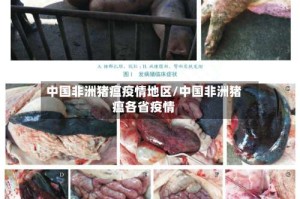 中国非洲猪瘟疫情地区/中国非洲猪瘟各省疫情
