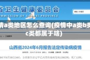 疫情a类地区怎么查询(疫情中a类b类c类都属于啥)