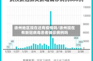 徐州地区现在还有疫情吗/徐州现在有新冠病毒患者确诊病例吗