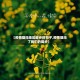 【疫情阻挡地区脚步的句子,疫情阻挡了我们的脚步】