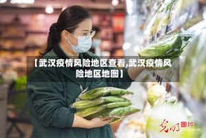 【武汉疫情风险地区查看,武汉疫情风险地区地图】