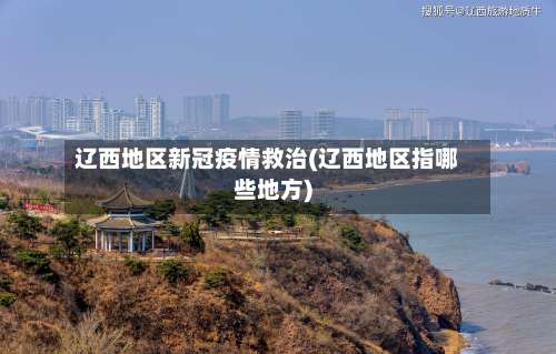 辽西地区新冠疫情救治(辽西地区指哪些地方)-第2张图片