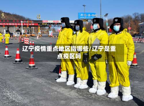 辽宁疫情重点地区指哪些/辽宁是重点疫区吗-第1张图片