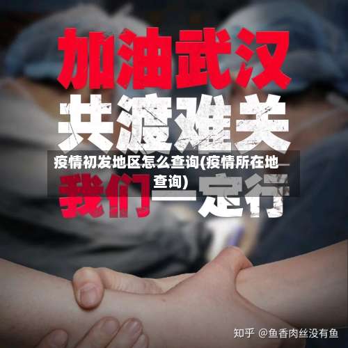 疫情初发地区怎么查询(疫情所在地查询)-第3张图片