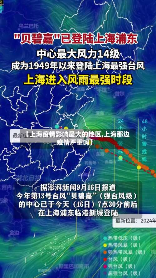 【上海疫情影响最大的地区,上海那边疫情严重吗】-第3张图片