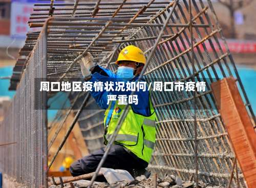 周口地区疫情状况如何/周口市疫情严重吗-第1张图片