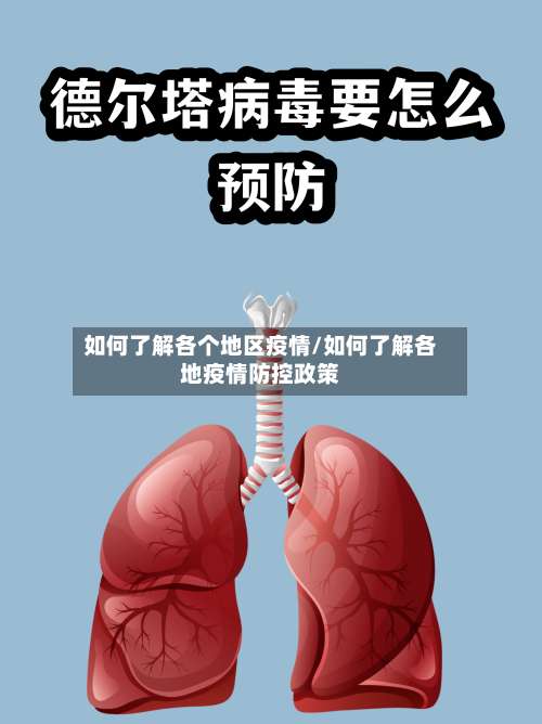 如何了解各个地区疫情/如何了解各地疫情防控政策-第1张图片