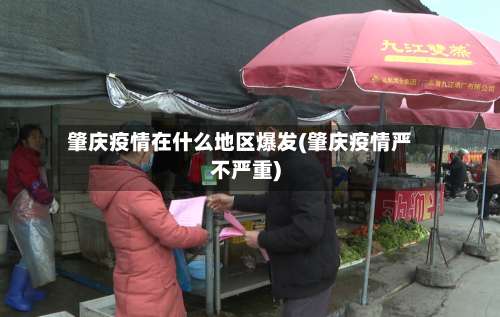 肇庆疫情在什么地区爆发(肇庆疫情严不严重)-第2张图片