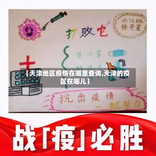 【天津地区疫情在哪里查询,天津的疫区在哪儿】-第3张图片