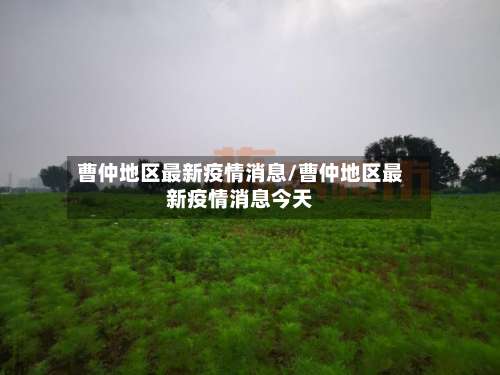曹仲地区最新疫情消息/曹仲地区最新疫情消息今天-第2张图片