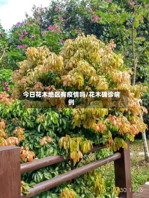 今日花木地区有疫情吗/花木确诊病例-第2张图片