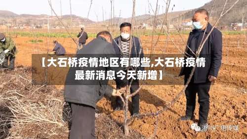 【大石桥疫情地区有哪些,大石桥疫情最新消息今天新增】-第3张图片