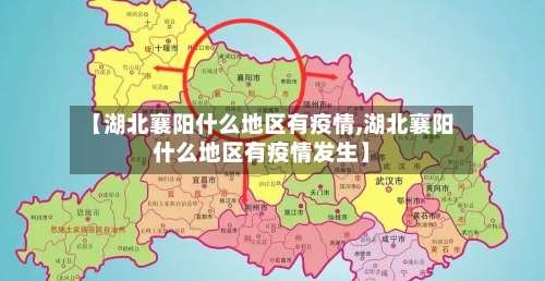 【湖北襄阳什么地区有疫情,湖北襄阳什么地区有疫情发生】-第1张图片