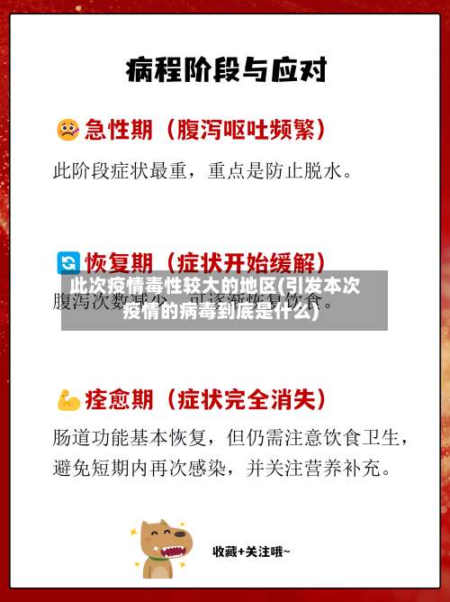 此次疫情毒性较大的地区(引发本次疫情的病毒到底是什么)-第2张图片