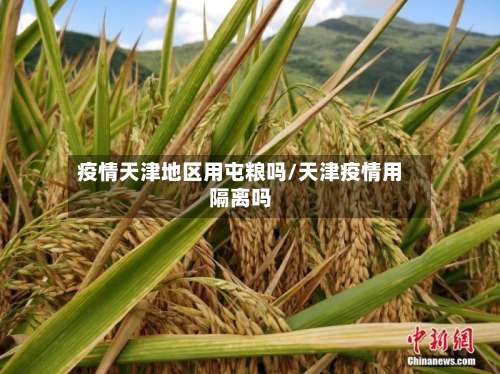 疫情天津地区用屯粮吗/天津疫情用隔离吗-第3张图片