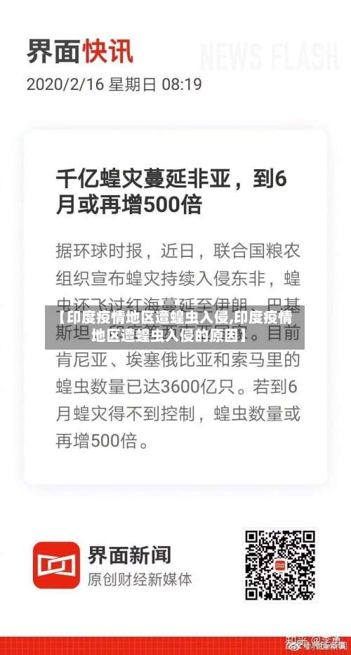 【印度疫情地区遭蝗虫入侵,印度疫情地区遭蝗虫入侵的原因】-第1张图片