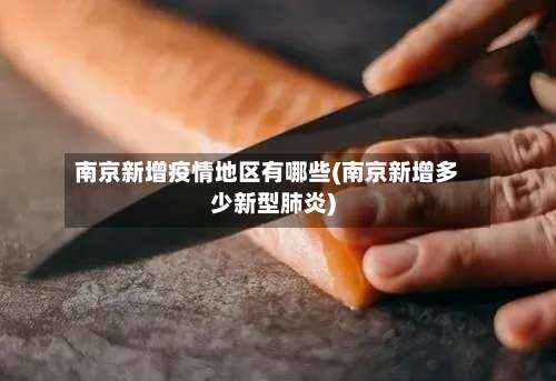 南京新增疫情地区有哪些(南京新增多少新型肺炎)-第3张图片