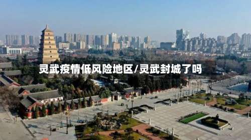 灵武疫情低风险地区/灵武封城了吗-第2张图片