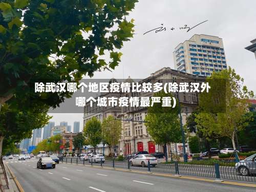 除武汉哪个地区疫情比较多(除武汉外哪个城市疫情最严重)-第1张图片