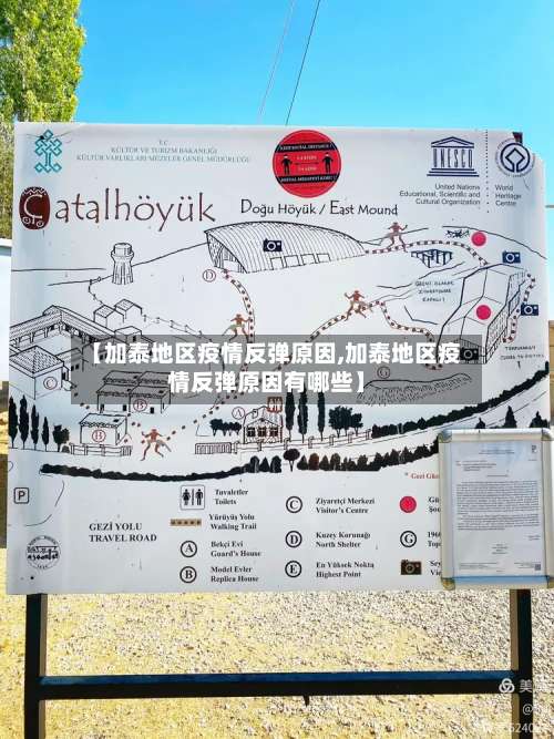 【加泰地区疫情反弹原因,加泰地区疫情反弹原因有哪些】-第1张图片