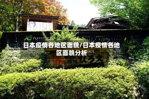 日本疫情各地区面貌/日本疫情各地区面貌分析-第2张图片