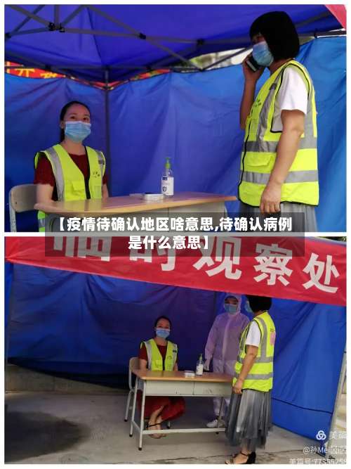 【疫情待确认地区啥意思,待确认病例是什么意思】-第2张图片