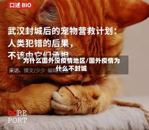 为什么国外没疫情地区/国外疫情为什么不封城-第2张图片