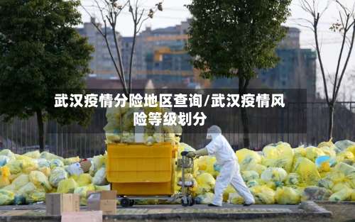 武汉疫情分险地区查询/武汉疫情风险等级划分-第3张图片