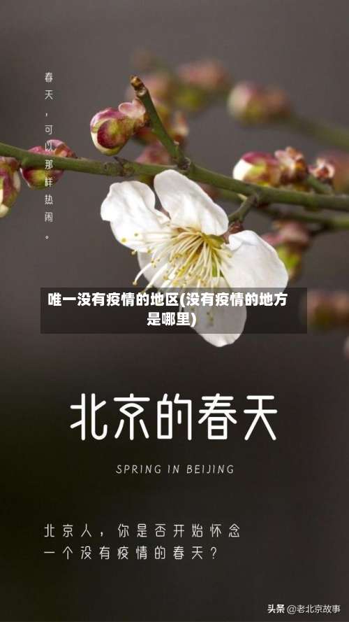 唯一没有疫情的地区(没有疫情的地方是哪里)-第1张图片