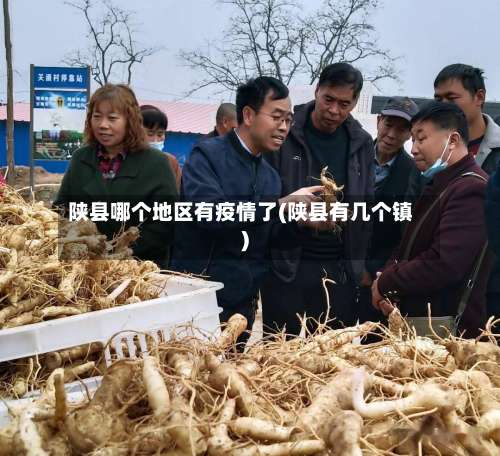 陕县哪个地区有疫情了(陕县有几个镇)-第1张图片