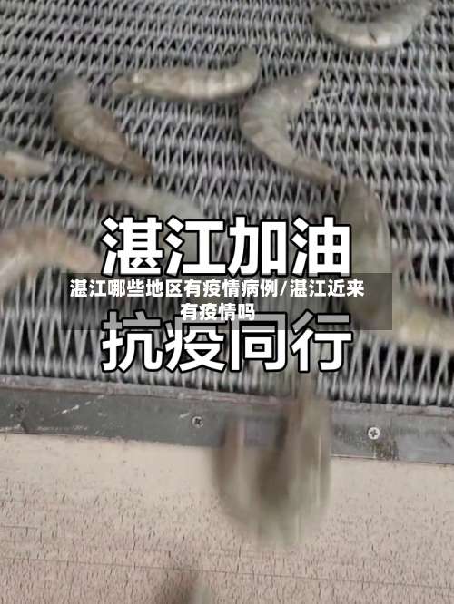 湛江哪些地区有疫情病例/湛江近来有疫情吗-第2张图片