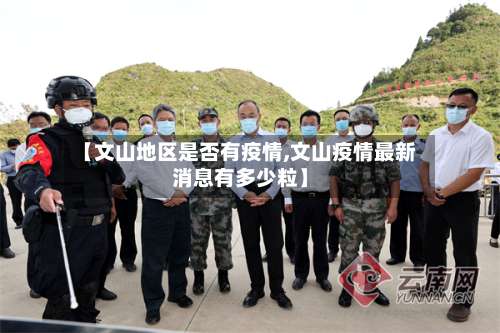 【文山地区是否有疫情,文山疫情最新消息有多少粒】-第3张图片
