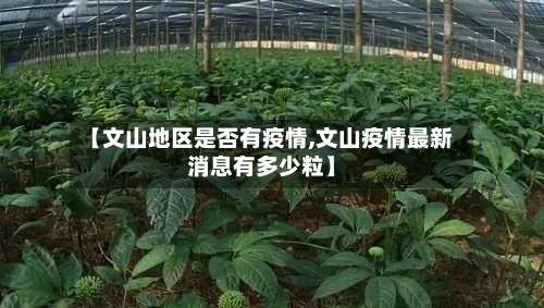 【文山地区是否有疫情,文山疫情最新消息有多少粒】-第2张图片